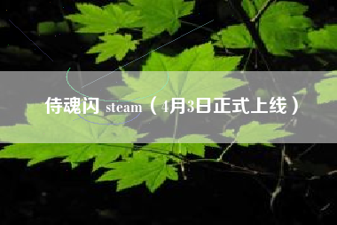 侍魂闪 steam（4月3日正式上线）