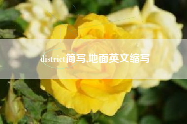 district简写,地面英文缩写