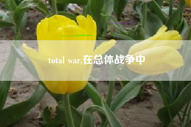 total war,在总体战争中