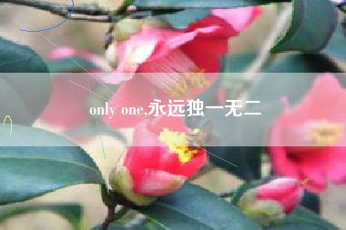 only one,永远独一无二