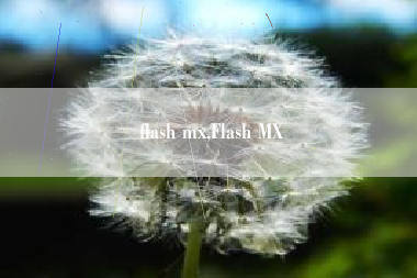 flash mx,Flash MX