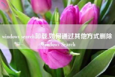 windows search卸载,如何通过其他方式删除 Windows Search