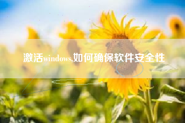 激活windows,如何确保软件安全性